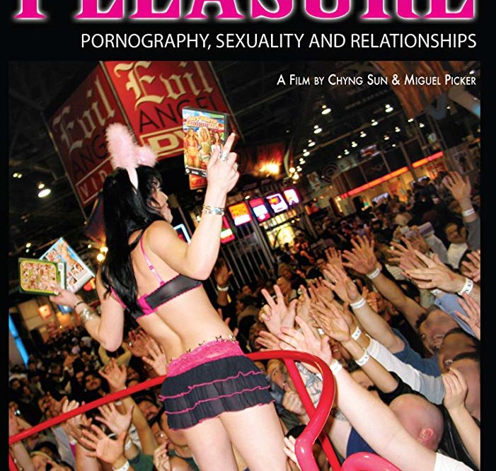The Price of Pleasure DVD cover