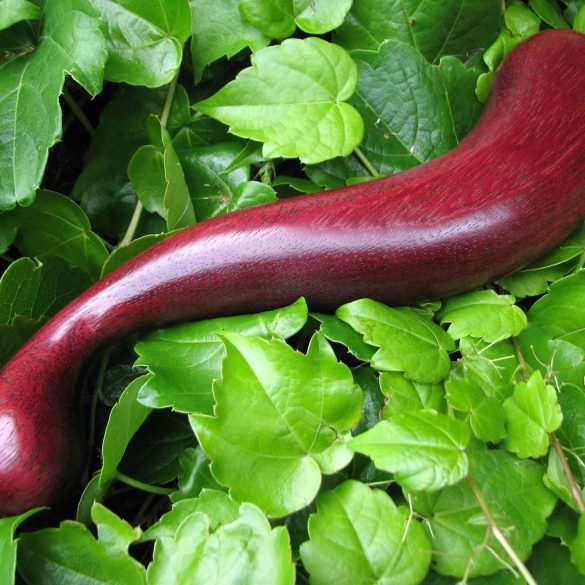 NobEssence Seduction among some green leaves.