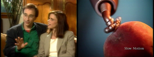 Screenshots from the Eroscillator DVD. On the left, a charming hetero couple talking about their experience. On the right, the Eroscillator being used on a peach.