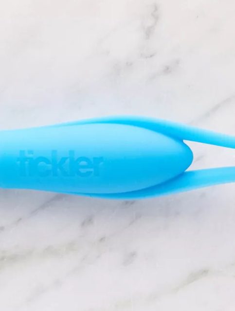 Toyfriend Mystic Tickler vibrator