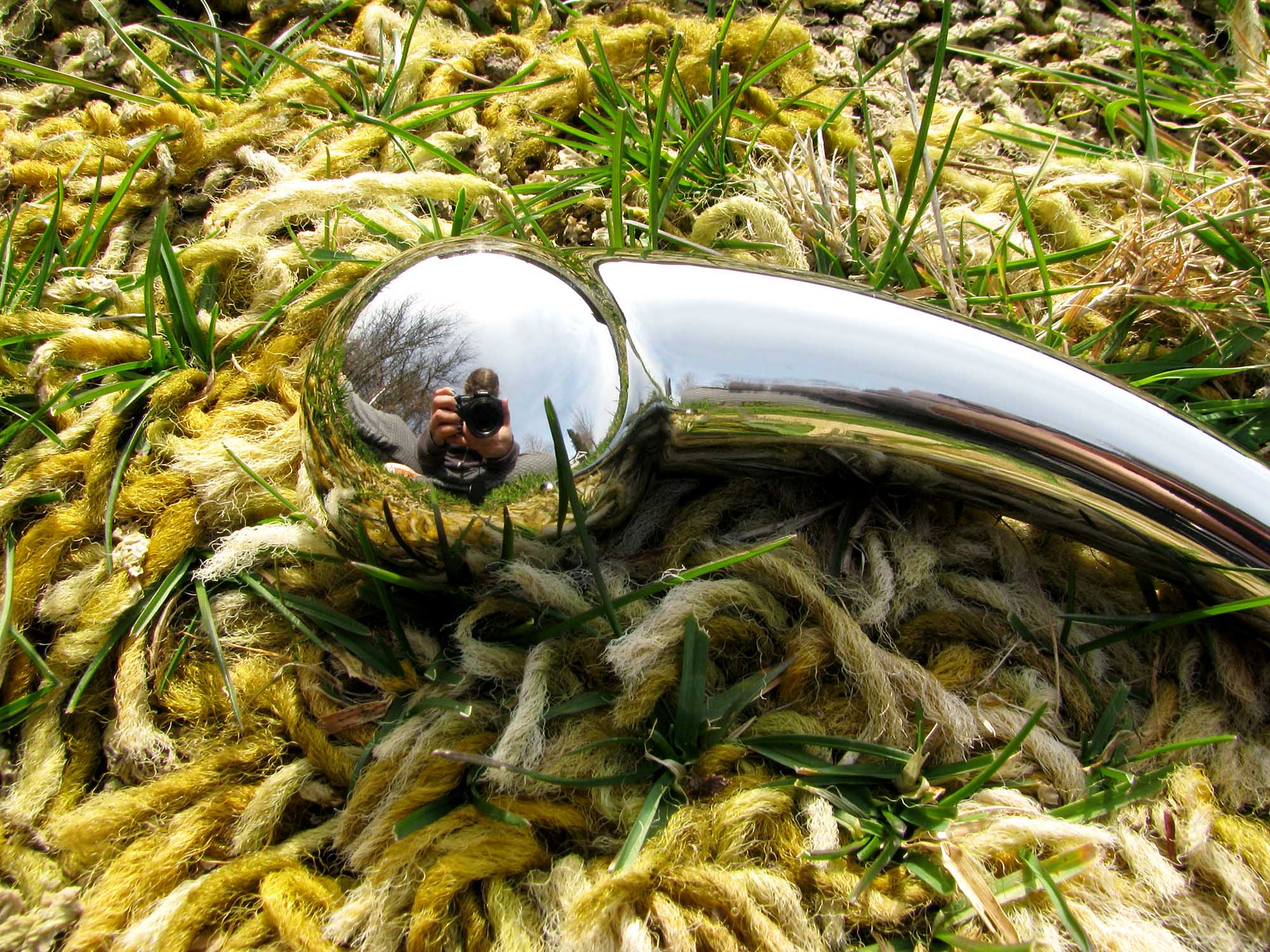 njoy Pure Wand stainless steel G-spot dildo on the ground, with golden shag carpet growing through the grass.