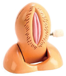 WIND UP VULVA