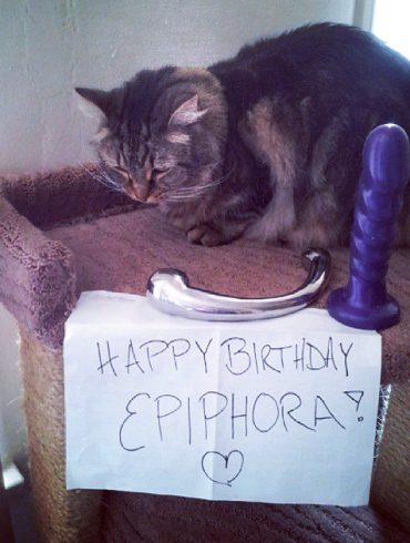 That cat is totally enthused about the dildos surrounding him. That's his enthusiasm face.