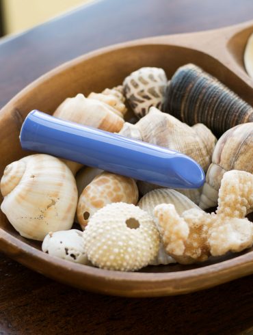 We-Vibe Tango rechargeable bullet vibrator in a wooden bowl full of seashells.