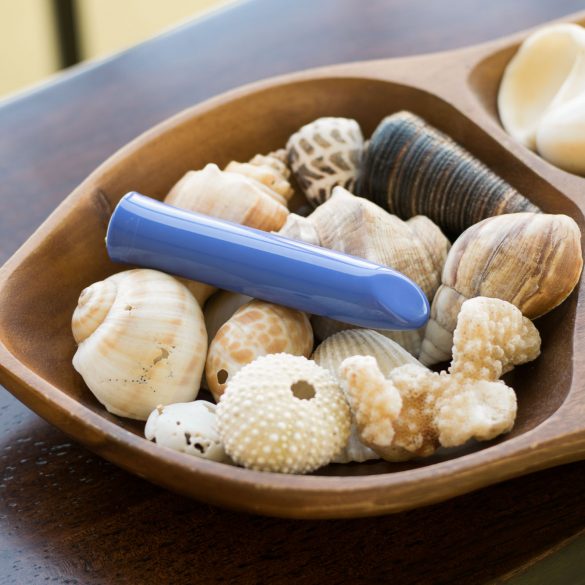 We-Vibe Tango rechargeable bullet vibrator in a wooden bowl full of seashells.