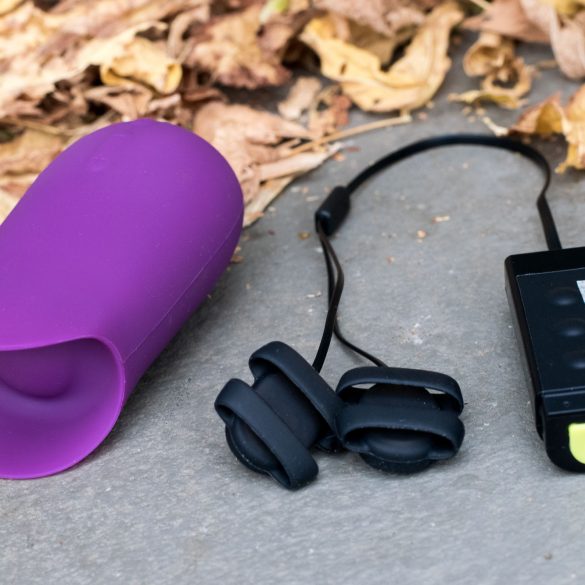 Jimmyjane Form 5 and Hello Touch X vibrators (plus masking tape labels) next to some fall leaves.