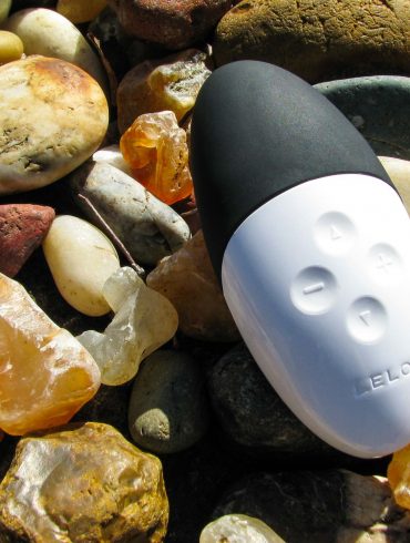 LELO Siri 2 vibrator on top of a bunch of sun-bleached rocks.