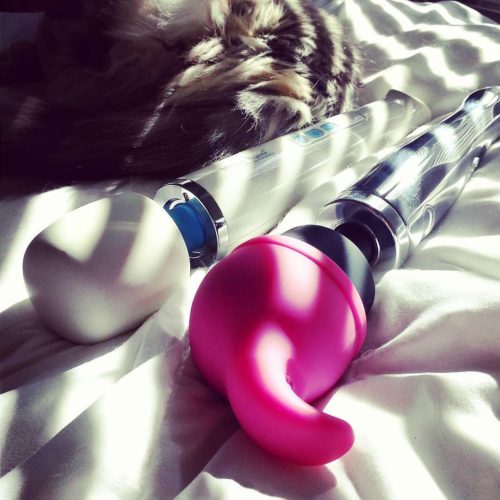 My cat, Hitachi Magic Wand Rechargeable, Doxy Wand with Nuzzle Tip attachment, sunbeams.