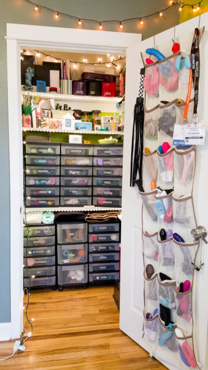 IS IT NOT GLORIOUS, THIS SEX TOY CLOSET