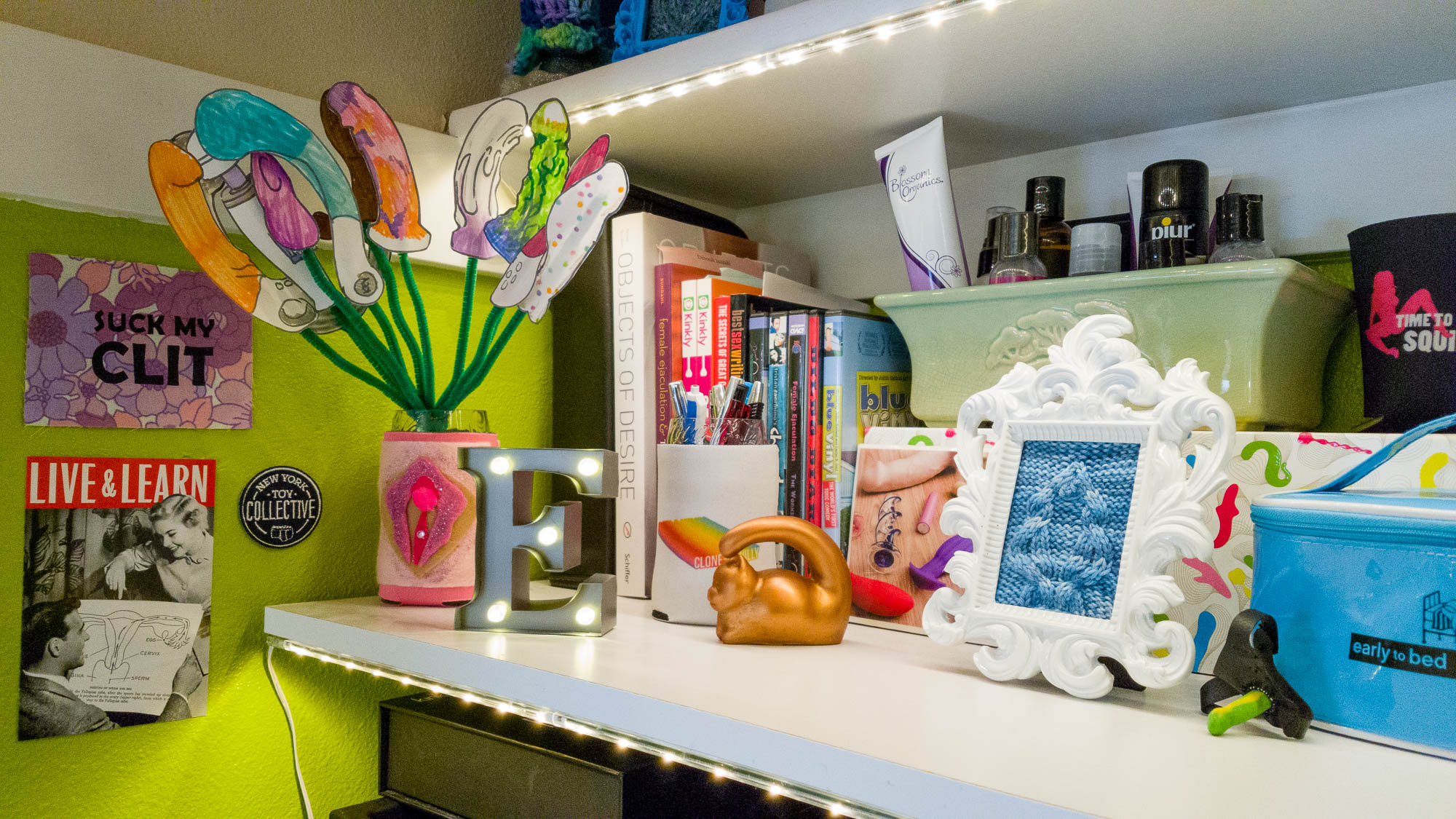 Main shelf of my sex toy closet, complete with knitted vulva.