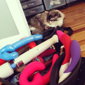 Tessa and dish rack of "toys" Tessa and dish rack of "toys"