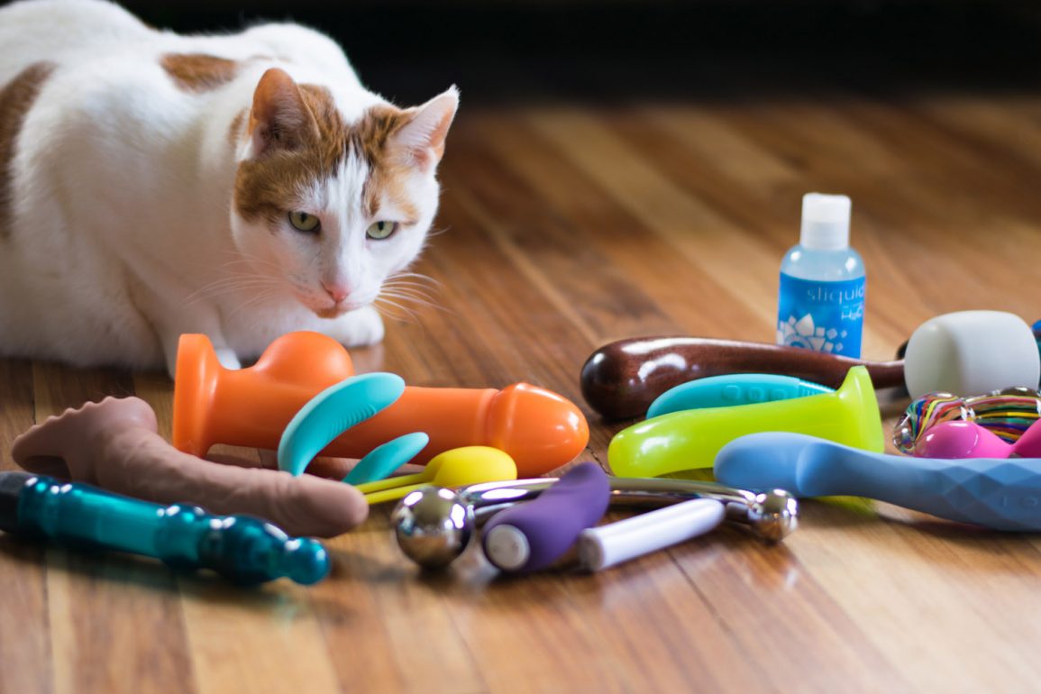 My cat Chowder overseeing a pile of sex toys.
