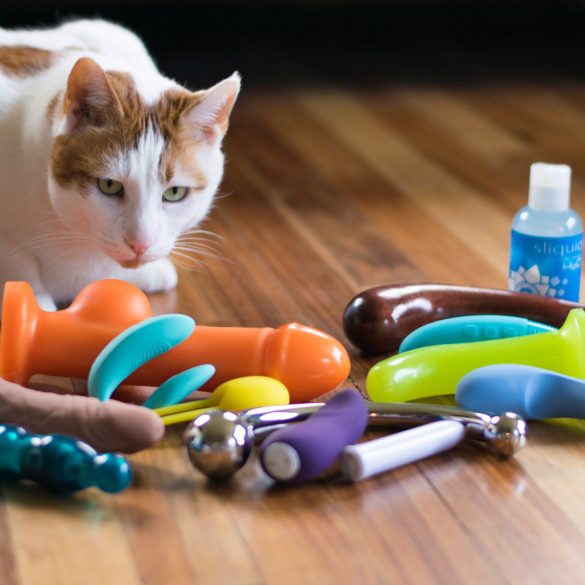 My cat Chowder overseeing a pile of sex toys.