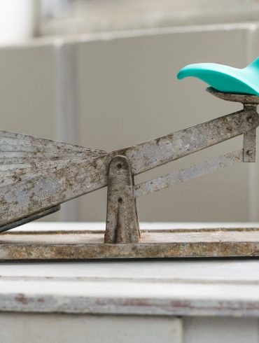 Clandestine Devices Mimic vibrator on an ancient-looking egg scale. The cons outweigh the pros.