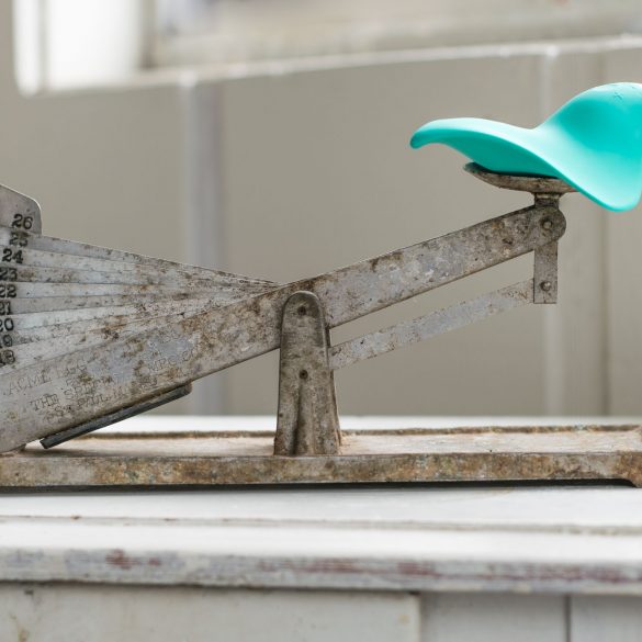 Clandestine Devices Mimic vibrator on an ancient-looking egg scale. The cons outweigh the pros.
