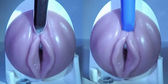 Two Fleshlights (with vulvas) side by side, with a vibe on each clit.