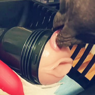 omfg only in my life. This is why we call him "trash cat." (Don't worry, it's just lube he's licking off.) omfg only in my life. This is why we call him "trash cat." (Don't worry, it's just lube he's licking off.)