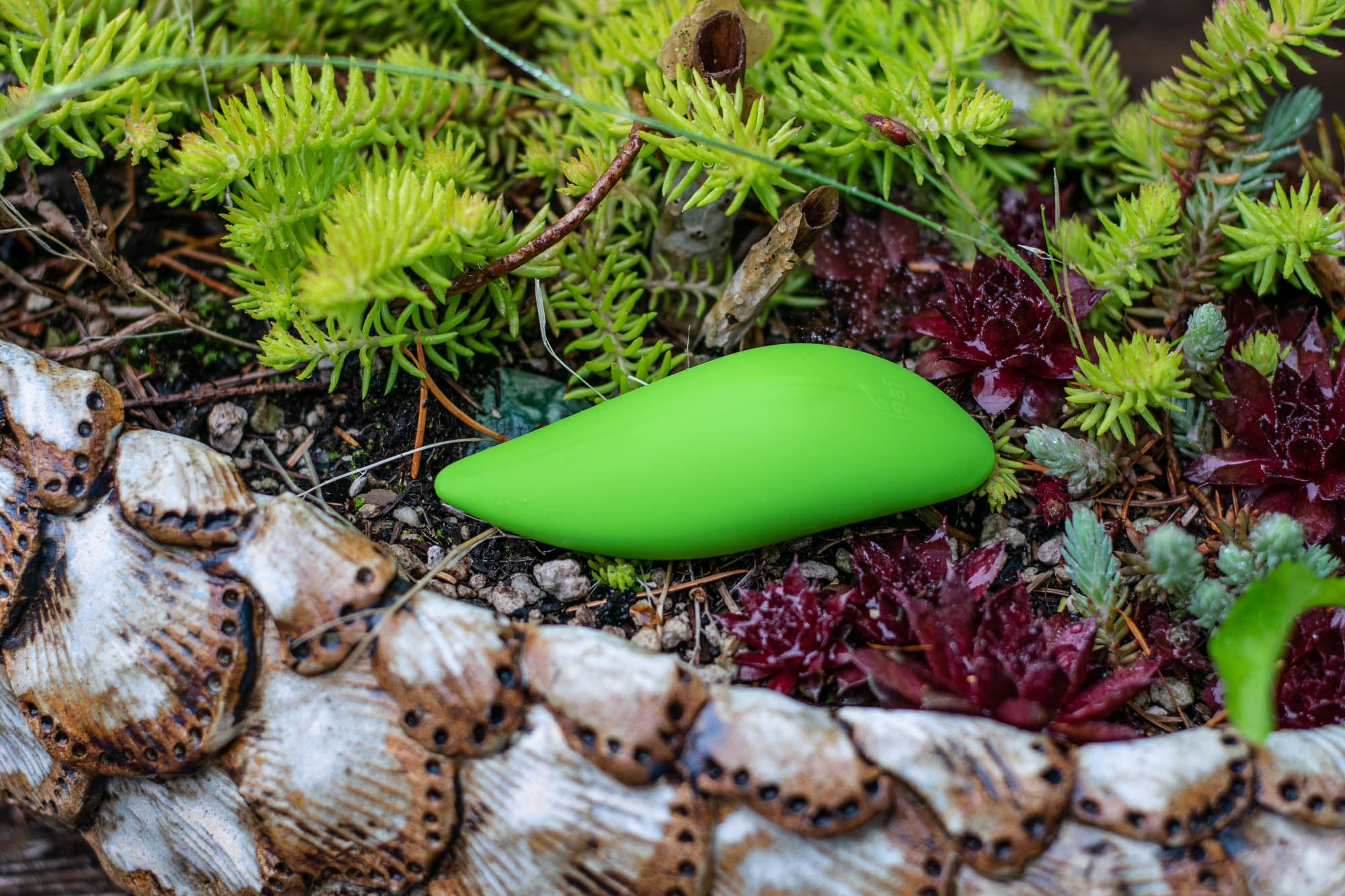 BMS Factory Leaf Life rechargeable vibrator