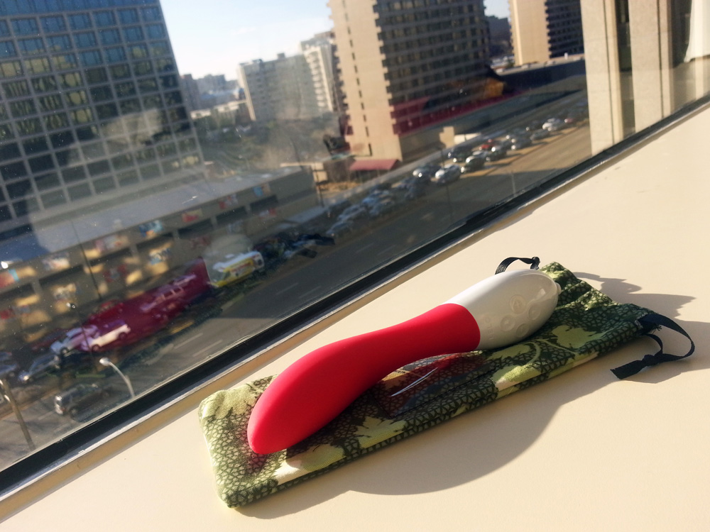 The only toy I brought: the LELO Mona 2, in the windowsill at the hotel.