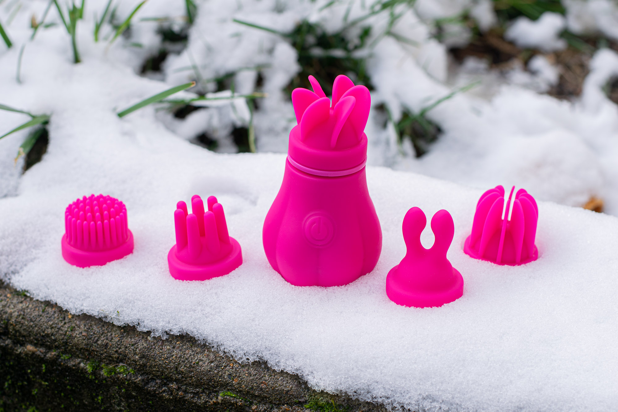 Adrien Lastic Caress on a layer of snow, with some grass peeking out in the background.