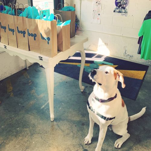 A dog stands watch at She Bop next to a table lined with gift bags for curbside pick-up.