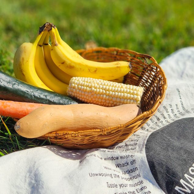 A basket of fruit and vegetables (carrot, cucumber, yam, corn, bunch of bananas) in the grass, on top of a tea towel with the word "MASTURBATION" on it.